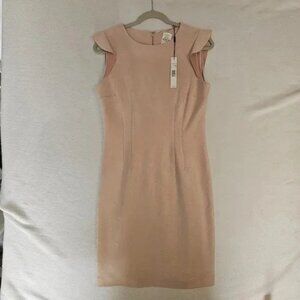 T. TAHARI CHASSITY DRESS SOFT PINK SIZE 10 NWTT. TAHARI CHASSITY DRESS SOFT PINK